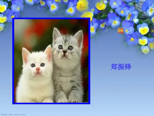 新教材--郑振铎《猫》+课后习题