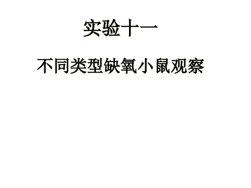 实验七 不同类型缺氧小鼠观察