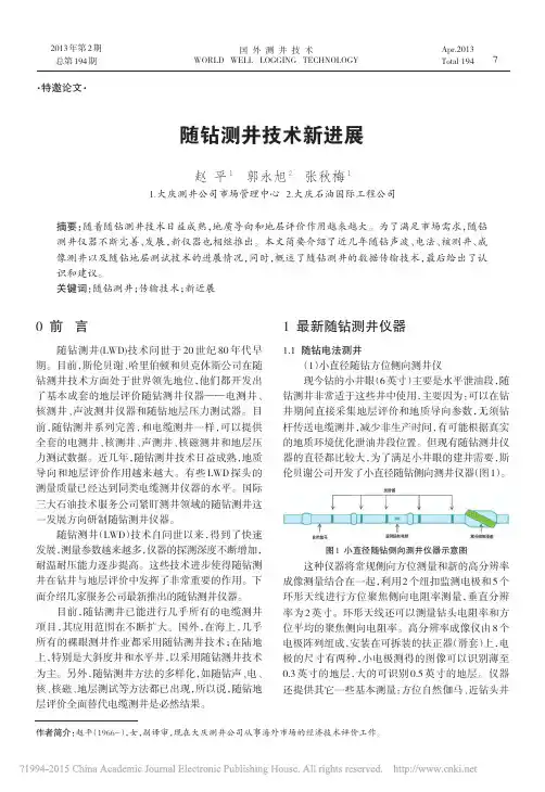 随钻测井技术新进展_赵平