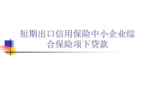 短期出口信用保险中小企业综合保险项下贷款