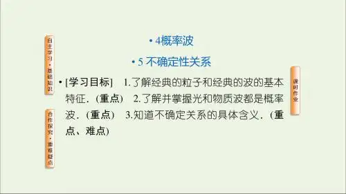 2019高中物理第十七章波粒二象性45概率波不确定性关系课件新人教版