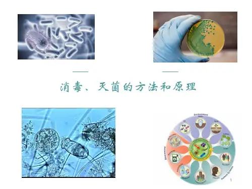 消毒灭菌的方法及原理ppt课件