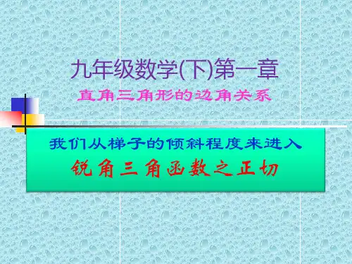 《锐角三角函数----正切》课件
