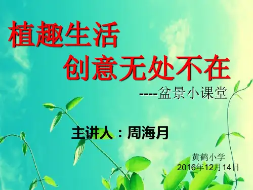微景观制作教案讲课教案