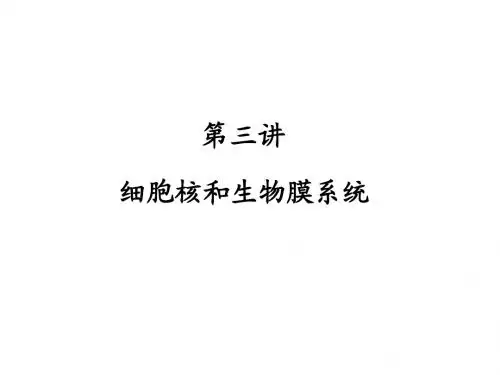 第三讲细胞核和生物膜系统