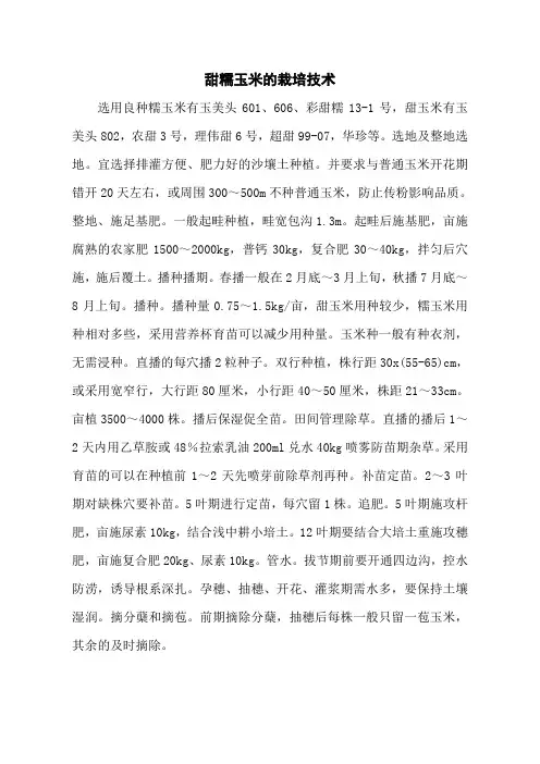 甜糯玉米的栽培技术