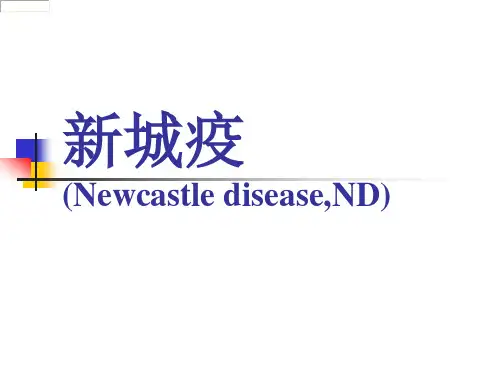 兽医课件：新城疫