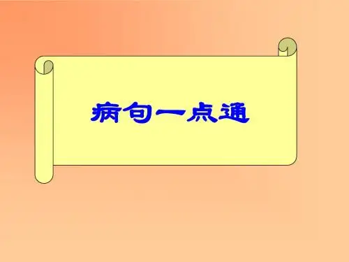 高考语文 病句一点通ppt