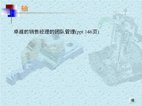 卓越的销售经理的团队管理(ppt 146页)