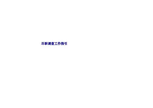 尽职调查指导手册