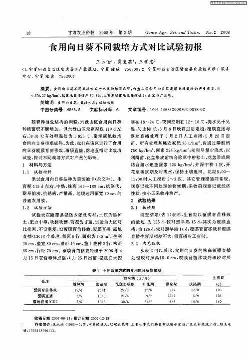 食用向日葵不同栽培方式对比试验初报