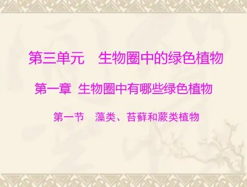 生物：3.1.1《藻类、苔藓和蕨类植物》课件(人教版七年级上)