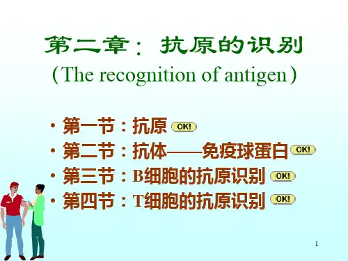 抗原的识别