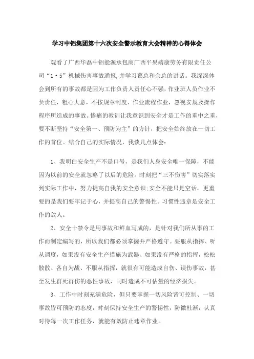 学习中铝集团第十六次安全警示教育大会精神的新的体会