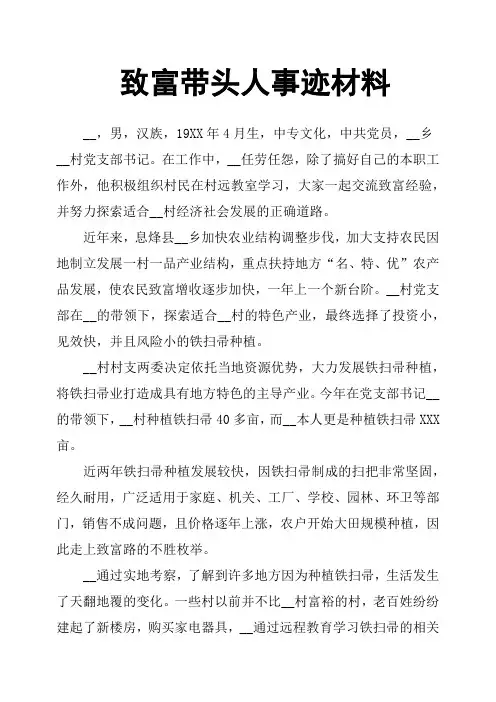 致富带头人事迹材料