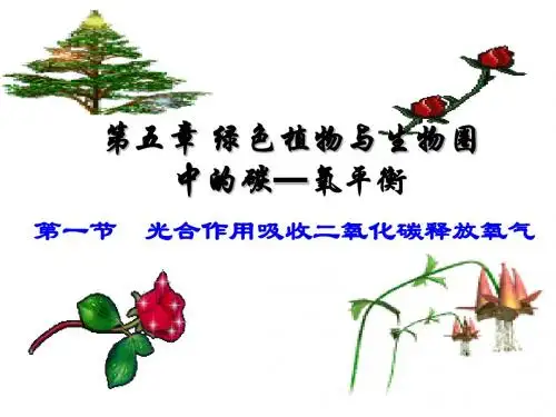 第五章 绿色植物与生物圈中的碳—氧平衡