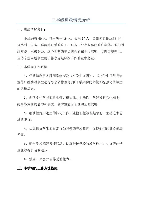 三年级班级情况介绍