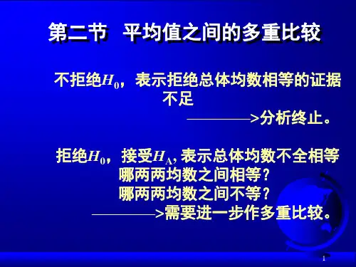 多重比较PPT精品文档