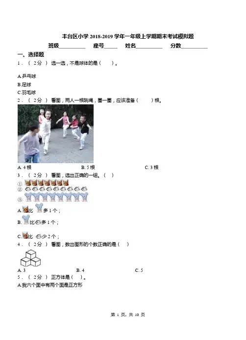 丰台区小学2018-2019学年一年级上学期期末考试模拟题