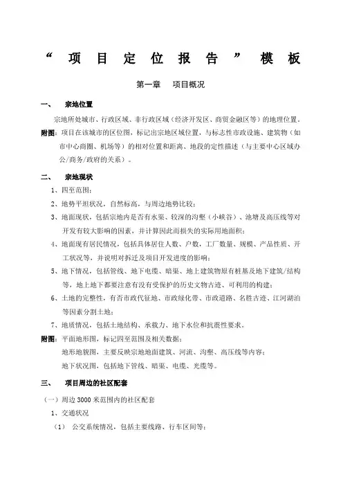 项目定位报告模板