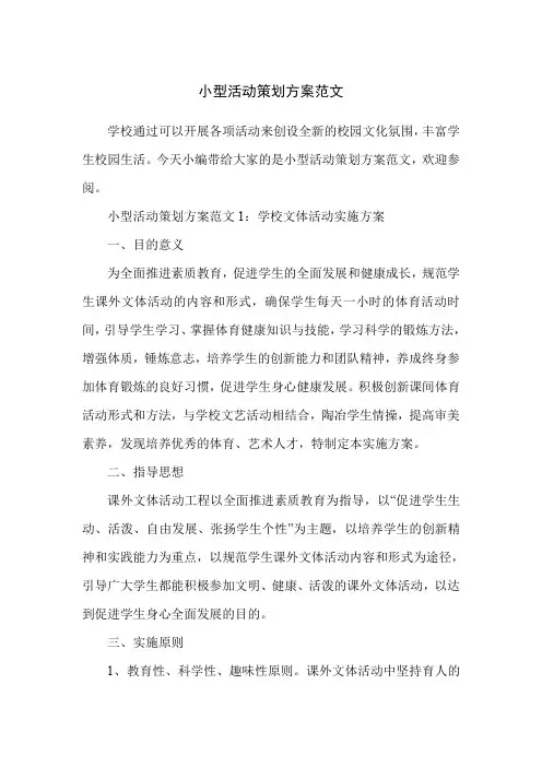 小型活动策划方案范文