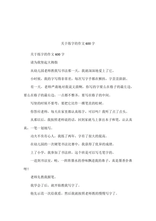 关于练字的作文600字
