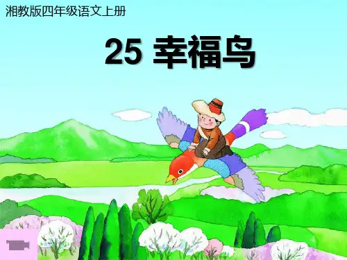 《幸福鸟》课件