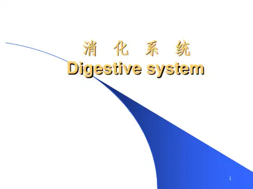 消化系统影像学表现(详细、全面)