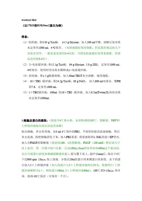 Western blot实验步骤