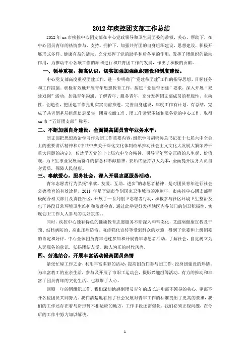 2012年疾控团支部工作总结
