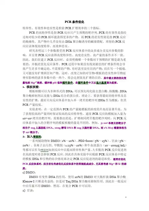 PCR条件优化