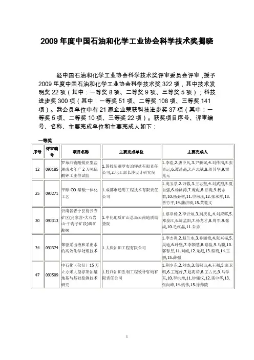 2009年中国石油和化学工业协会科学技术奖获奖项目
