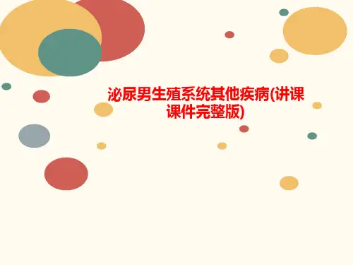 泌尿男生殖系统其他疾病(讲讲义课课件完整版)