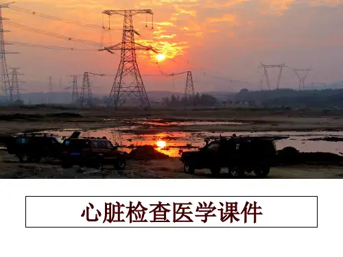 最新心脏检查医学课件PPT课件
