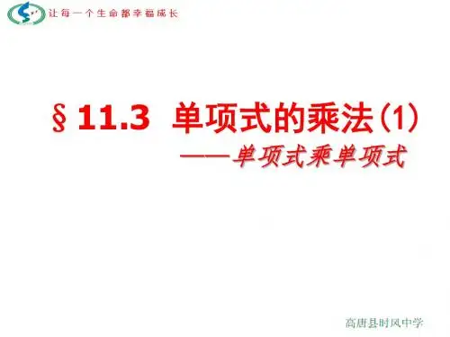 11.3.1单项式的乘法