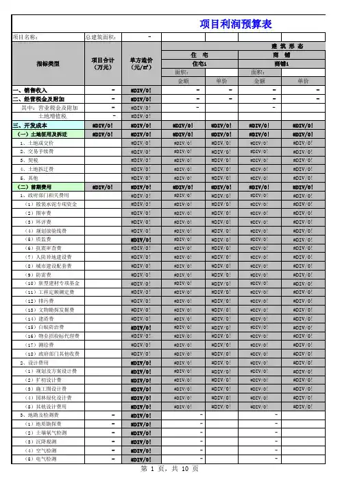项目利润预算表格