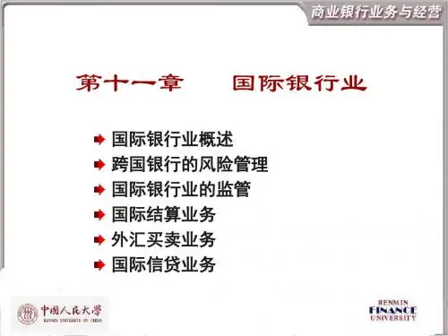 第11章国际银行业11