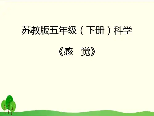 苏教版科学课件《感觉》完整版PPT1