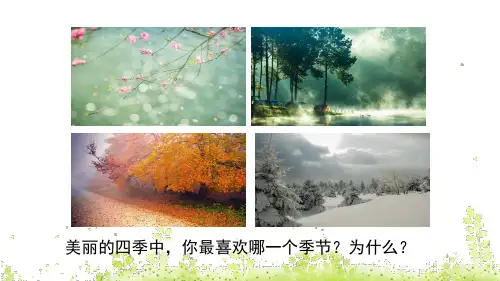 22 四季之美(精品课件)