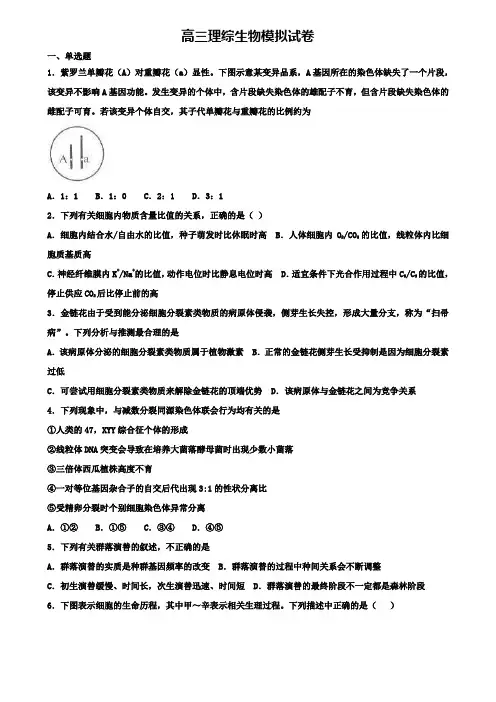 (精选生物12套试题)湖北省重点中学2019届高三理综生物四模试卷合集