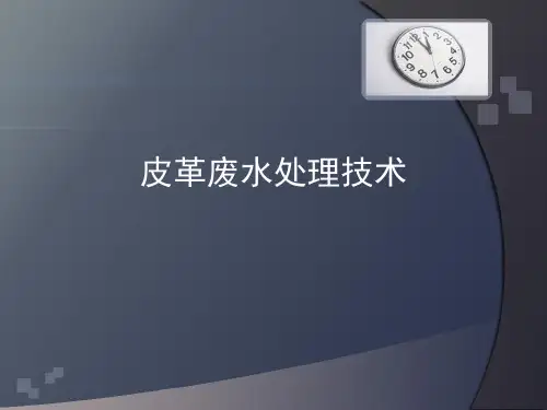 皮革废水处理技术(g)