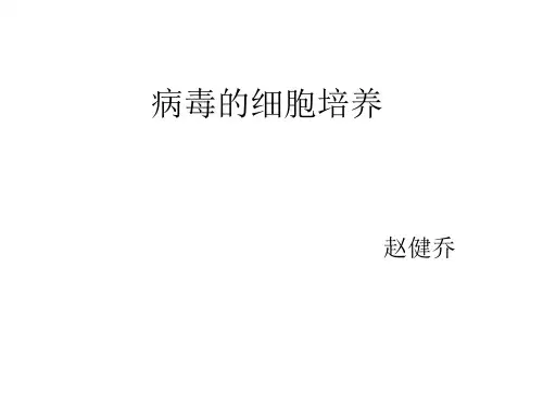 病毒的细胞培养