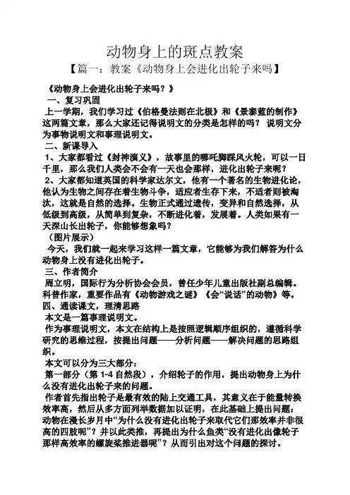 动物身上的斑点教案