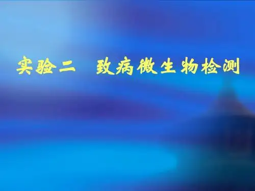 卫生微生物实验2