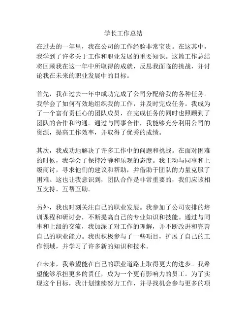学长工作总结