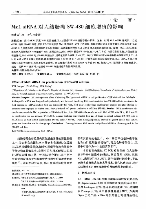 Msi1 siRNA对人结肠癌SW-480细胞增殖的影响