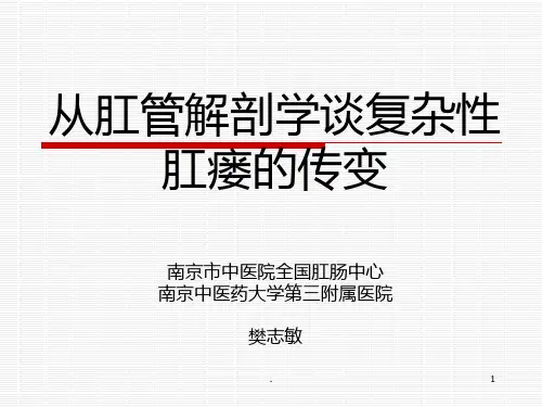 解剖谈肛瘘PPT课件