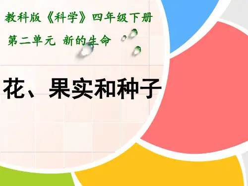 四年级下 花 果实和种子教科版实用PPT (共15张PPT)