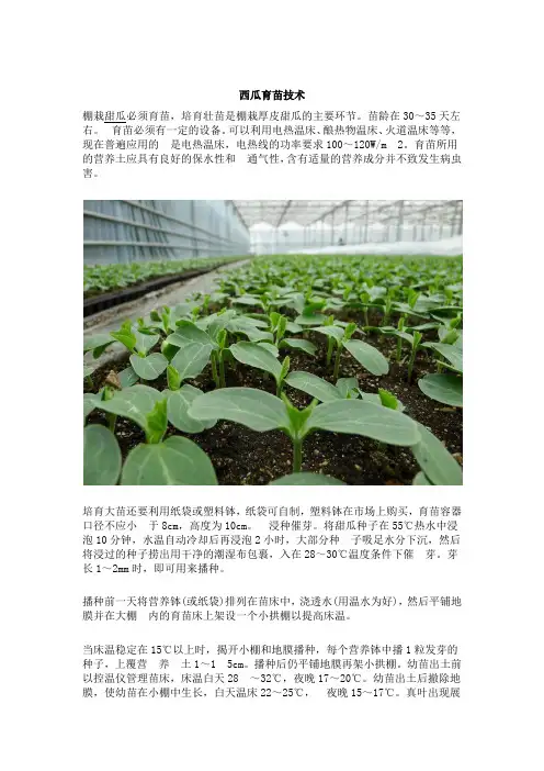 西瓜育苗技术