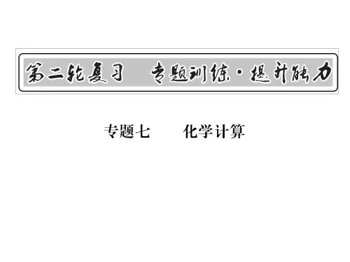 九年级化学 专题训练 化学计算 习题训练